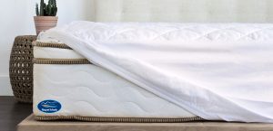 محافظ تشک